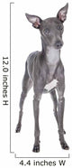 Italian Greyhound Blue Color Wall Decal