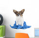 Papillon Puppy Towel Wall Decal