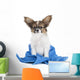 Papillon Puppy Towel Wall Decal