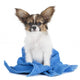 Papillon Puppy Towel Wall Decal