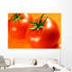 Rote Tomaten Wall Decal
