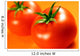 Rote Tomaten Wall Decal