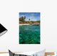 Green Coast Tropical Apo Wall Decal