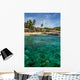 Green Coast Tropical Apo Wall Decal