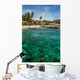 Green Coast Tropical Apo Wall Decal