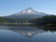 Mount Hood Wall Decal
