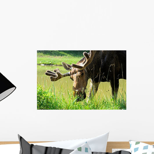 Elk Wall Decal
