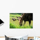 Elk Wall Decal