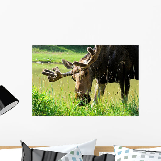 Elk Wall Decal