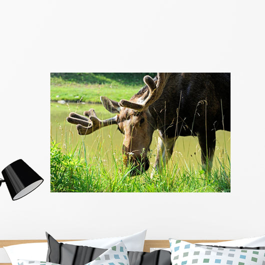 Elk Wall Decal