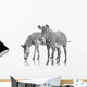 Two Zebras Wall Decal