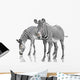 Two Zebras Wall Decal