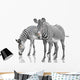 Two Zebras Wall Decal