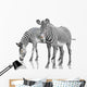 Two Zebras Wall Decal