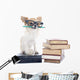 Chihuahua and Books Wall Decal