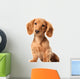 Dachshund Puppy Wall Decal