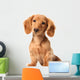 Dachshund Puppy Wall Decal