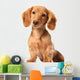 Dachshund Puppy Wall Decal