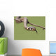 Grass Snake Natrix Natrix Wall Decal