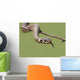Grass Snake Natrix Natrix Wall Decal