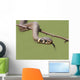 Grass Snake Natrix Natrix Wall Decal