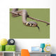 Grass Snake Natrix Natrix Wall Decal