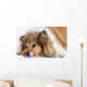 Sad Dog Wall Decal