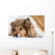 Sad Dog Wall Decal