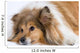 Sad Dog Wall Decal