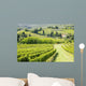 Wine Hill Italy Wall Decal