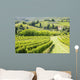 Wine Hill Italy Wall Decal