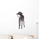Italian Greyhound Gray Wall Decal