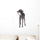 Italian Greyhound Gray Wall Decal