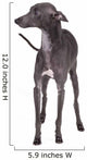 Italian Greyhound Gray Wall Decal