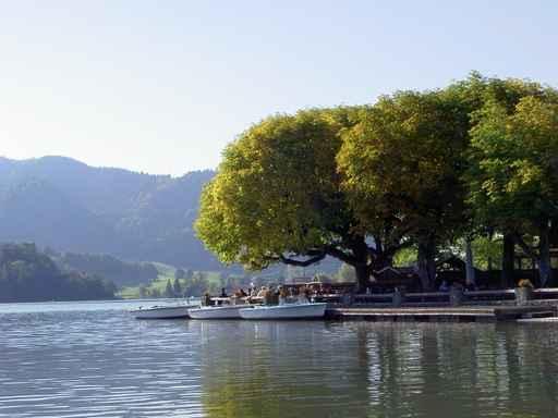 Schliersee Wall Decal