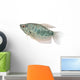 Blue Gourami Aquarium Fish Wall Decal