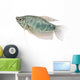 Blue Gourami Aquarium Fish Wall Decal