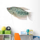 Blue Gourami Aquarium Fish Wall Decal