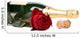 Red Rose and Bottle Wall Decal