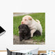 Two Sharpei Puppies Lying Wall Decal