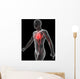 3D Rendered Illustration Vascular Wall Decal