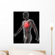 3D Rendered Illustration Vascular Wall Decal