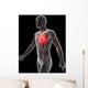 3D Rendered Illustration Vascular Wall Decal