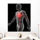 3D Rendered Illustration Vascular Wall Decal