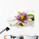 Passionsblume Ganz Nah Passiflora Wall Decal