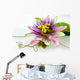 Passionsblume Ganz Nah Passiflora Wall Decal