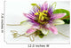 Passionsblume Ganz Nah Passiflora Wall Decal