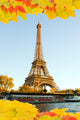 Eiffel Tour Fall Paris Wall Decal