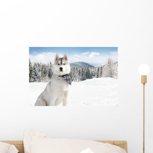 Husky Winter Wall Decal