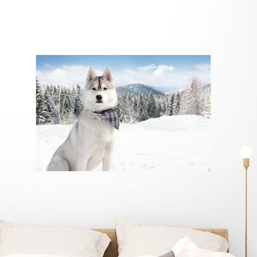 Husky Winter Wall Decal